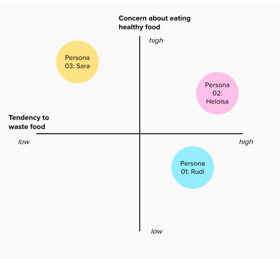 variables used to guide the design of personas